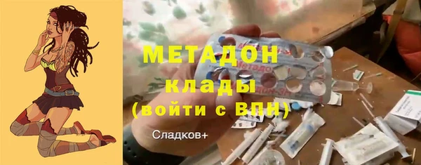 крисы Алексин