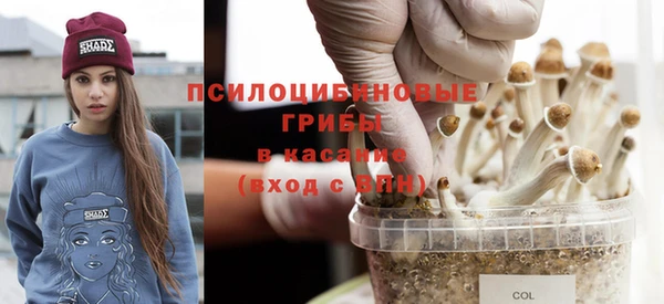 крисы Алексин