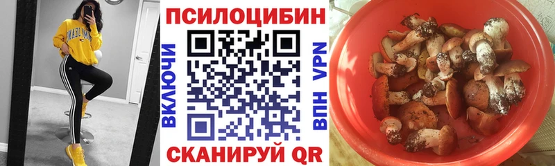 как найти Гвардейск Галлюциногенные грибы мицелий